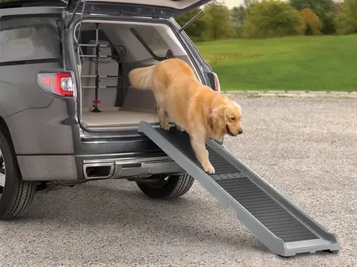 Rampa cinza para animais de estimação