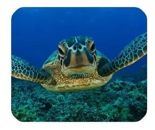 1 x Linda tartaruga marinha, borracha antiderrapante retangular