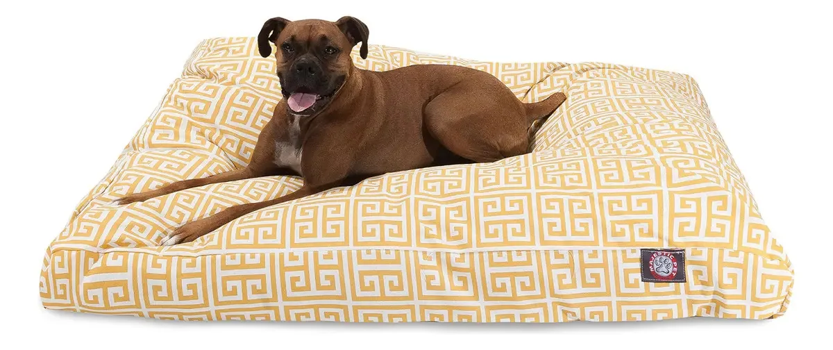Citrus Towers - pequena cama retangular para cães para. Cor Amarelo (amarelo cítrico)