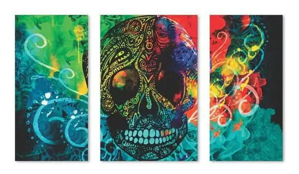 Quadro Decorativo Caveira Mexicana Rara