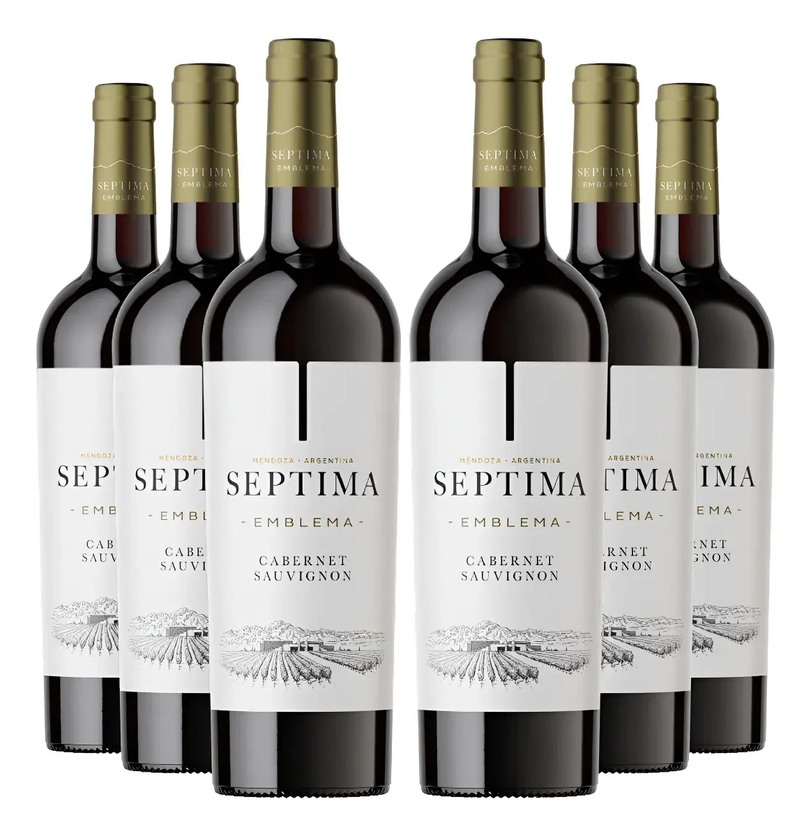 Kit 6 Vinhos Argentino Septima Emblema C. Sauvignon 750ml