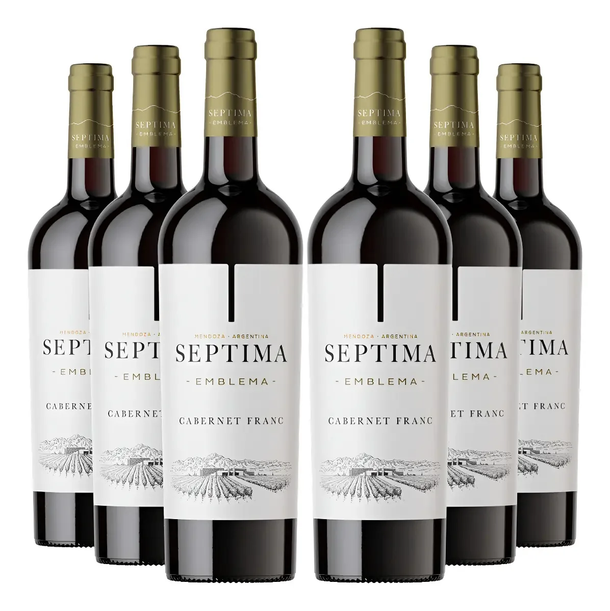 Kit 6 Vinhos Argentino Septima Emblema Cabernet Franc 750ml