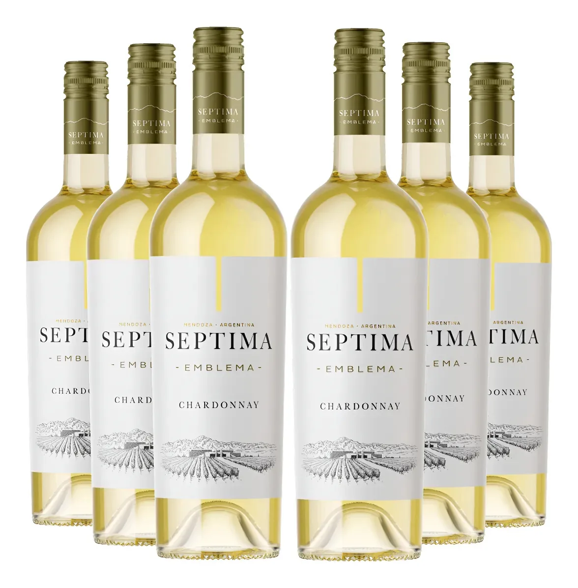 Kit 6 Vinhos Bco Argentino Septima Emblema Chardonnay 750ml