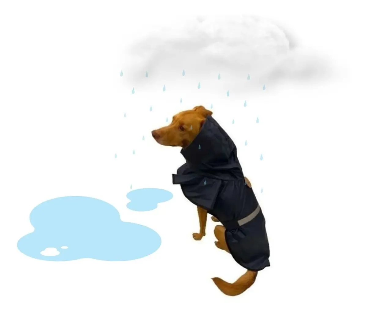 Capa De Chuva Pet Impermeável Capuz Cachorro Cães Azul G