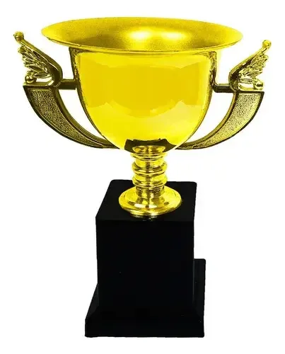 Troféu Para Todas Modalidades Completo Até 24cm Ref.07