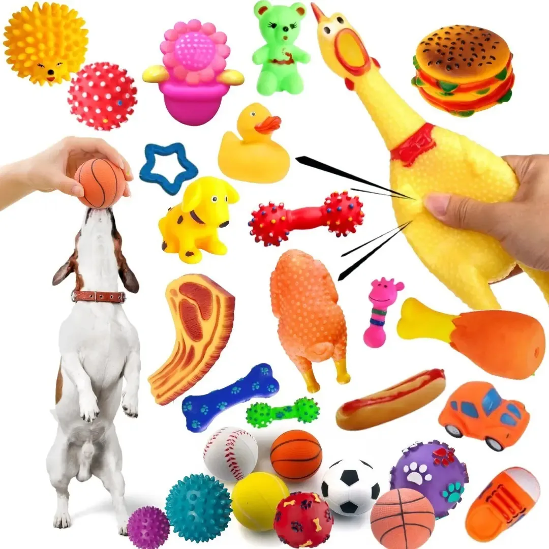 Kit Brinquedos Pet Modelos Filhote Com Galinha