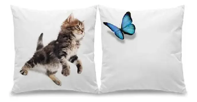 Conjunto De Almofadas Gatinho E Borboleta Azul