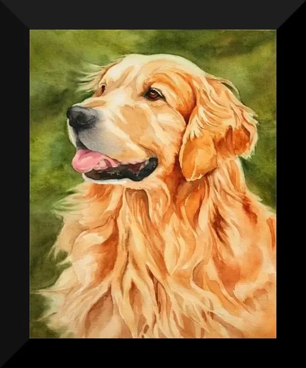 Quadro Pet Shop Cachorro Dog 25x30cm Com Vidro Sa39