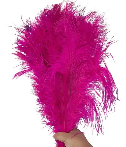 Avestruz Plumas E Penas Palito Decoração Artesanatos Luxo Cor Pink