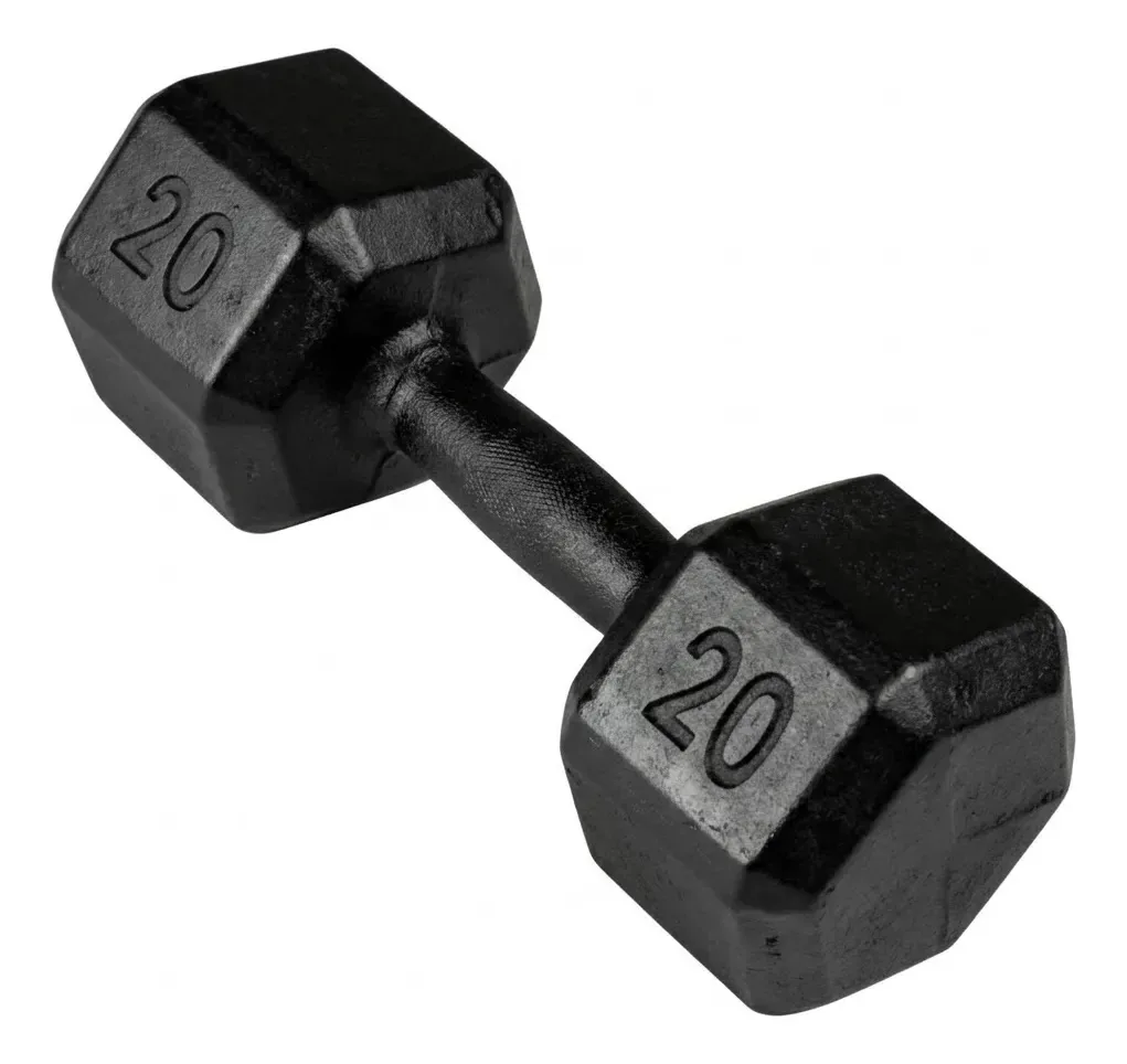 Halter Sextavado 20kg Emborrachado Peso Dumbbell Academia Profissional Treino Pesado Musculação Fitness