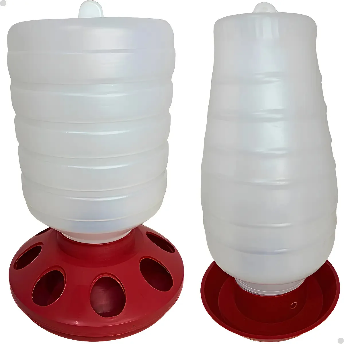 Kit Galinhas Aves Codorna Comedouro 1,5kg Bebedouro 5litros Vermelho