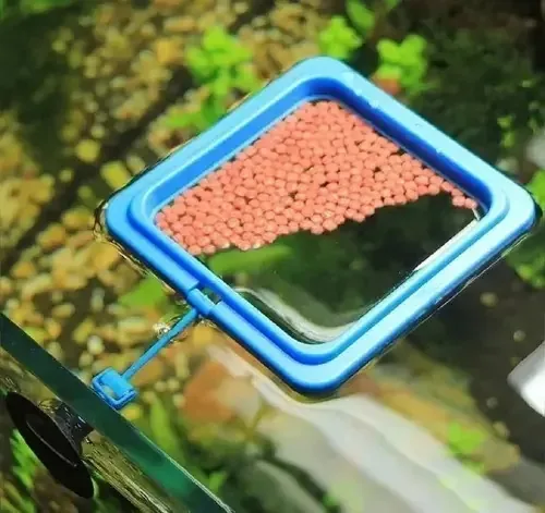 Alimentador Flutuante Anel De Alimentação P/peixes Aquário