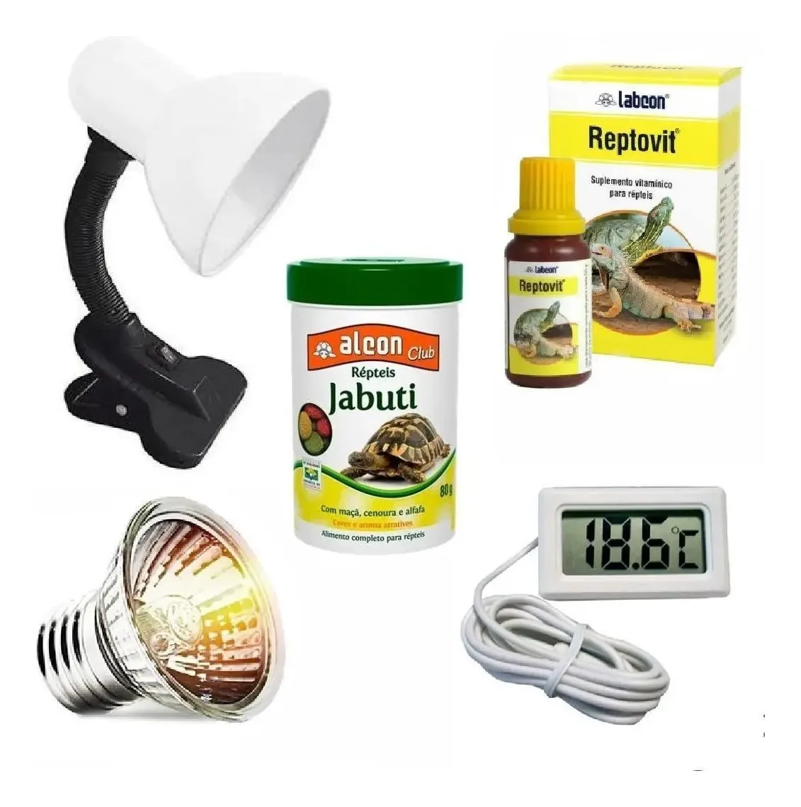 Combo Jabuti Lâmpada Uva Uvb 50w Ração Termômetro Digit