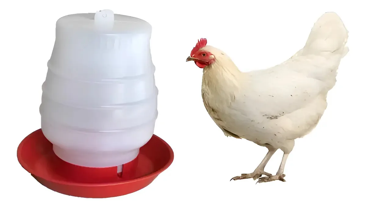 Bebedouro MakRomold Pendurável Aves Frango Pintos Plástico 2L Vermelho