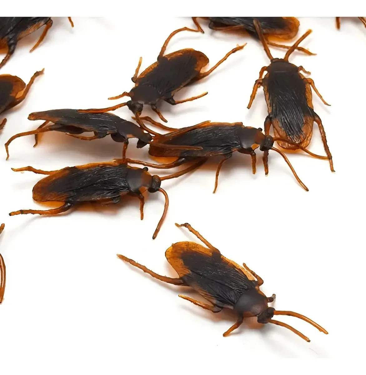 20 Baratas Brinquedo Borracha Pegadinha Assustar Amigos Cor Marrom