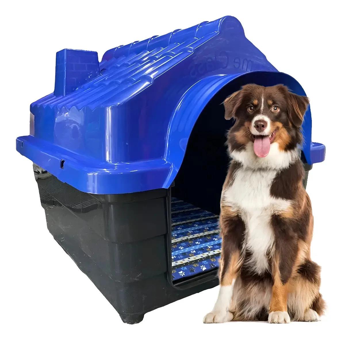 Casinha Plastica Cachorro Numero 5 Cor Azul