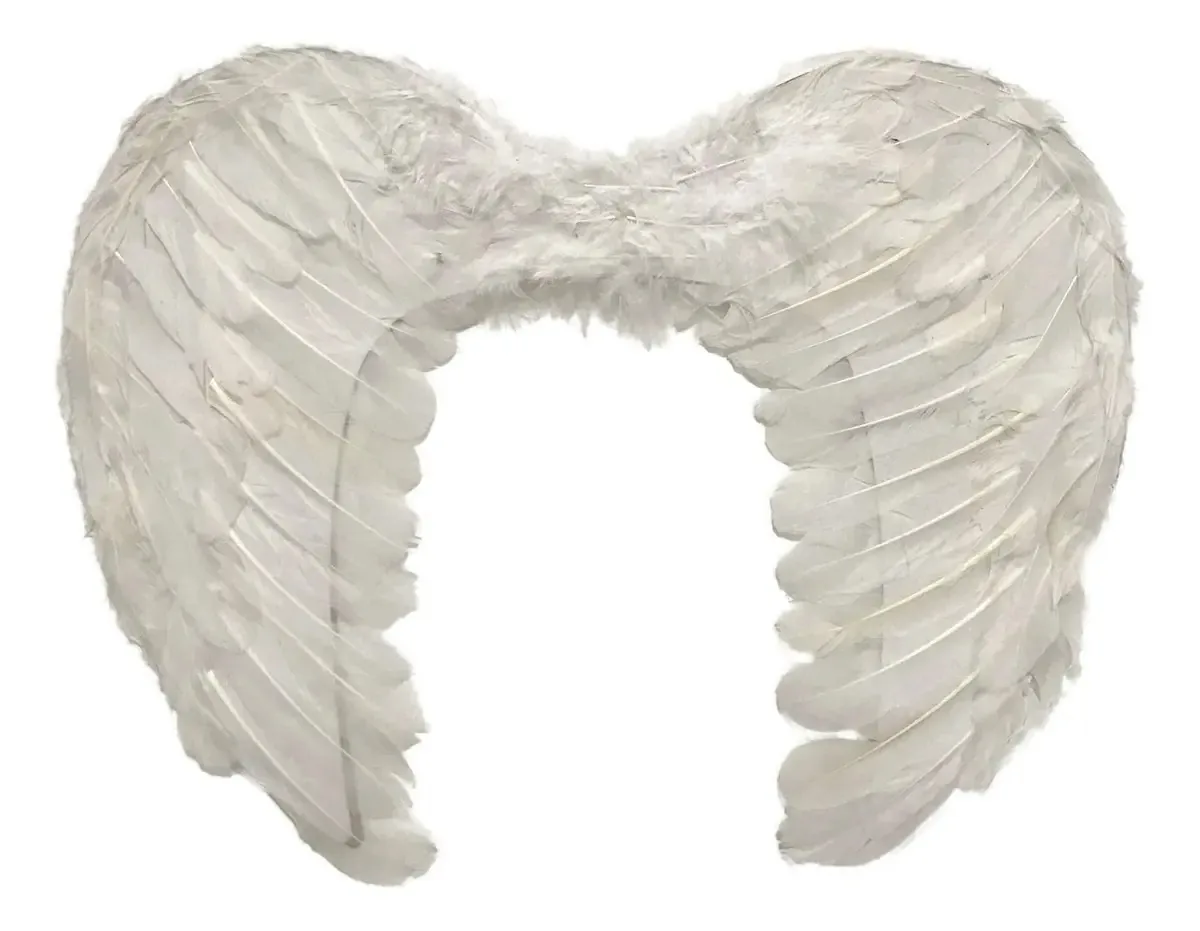 Asa De Anjo