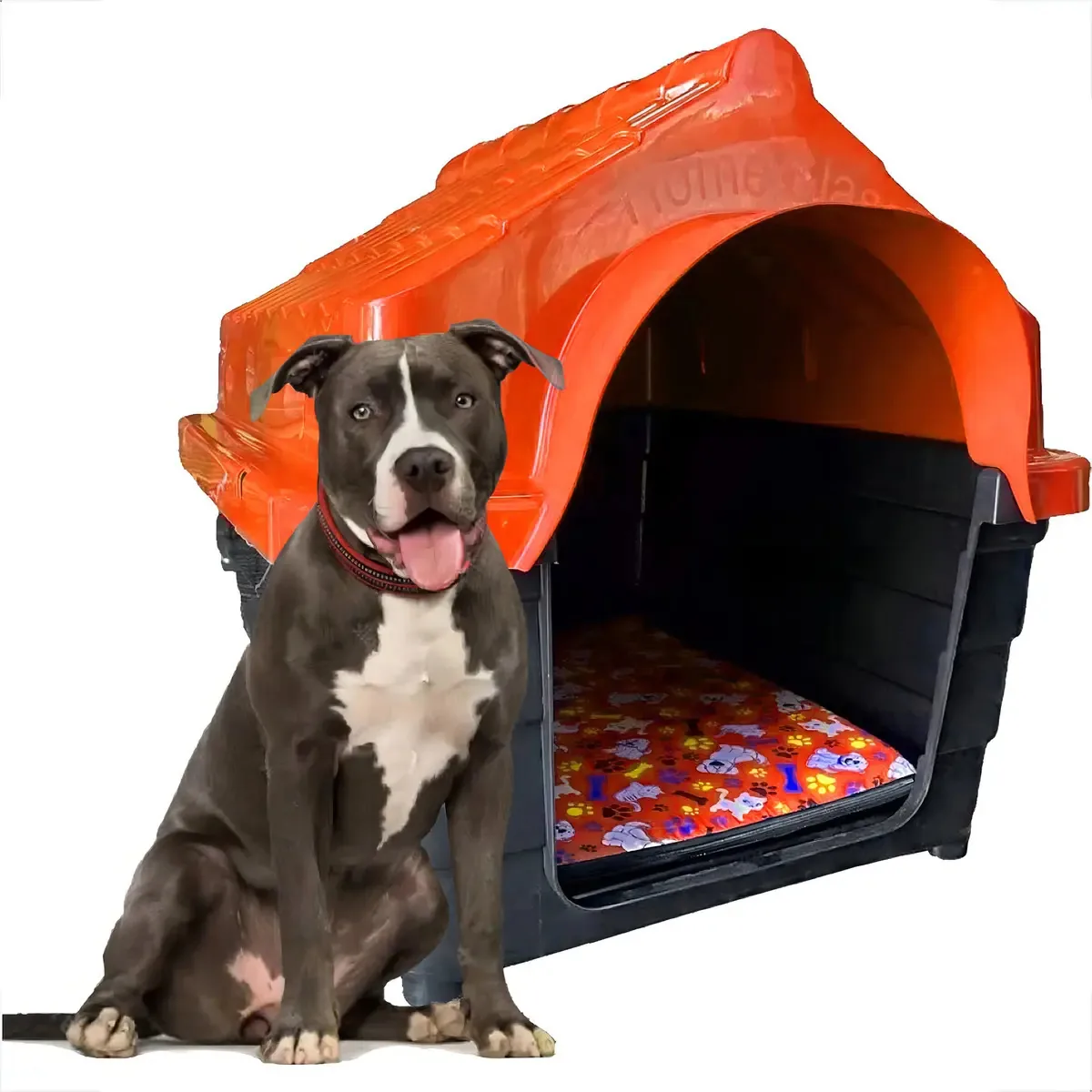 Casinha Plastica Cachorro Numero 6 Cor Laranja