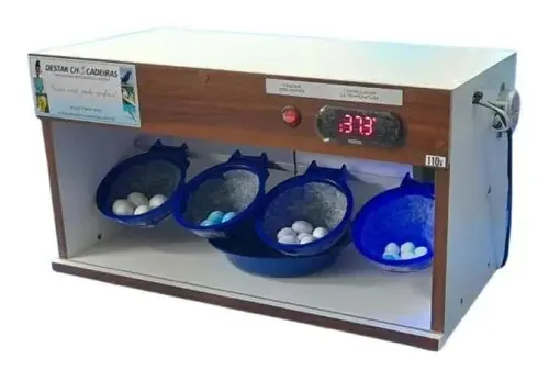 Chocadeira E Estufa Para Pássaros Com 4 Ninhos