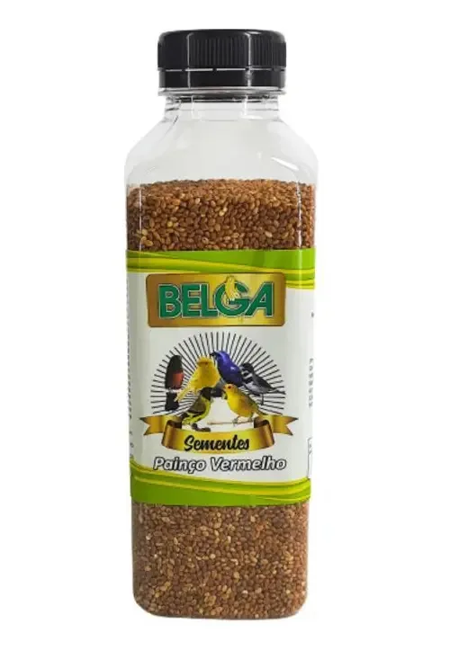 Sementes Belga 350g - Painço Vermelho - Vitaminas E Minerais