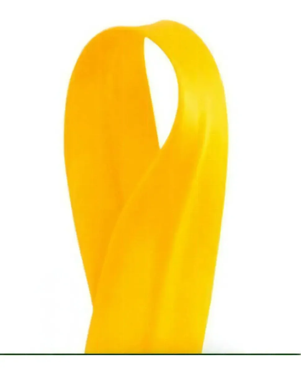 Vies De Cetim 20m 25mm Amar Ouro