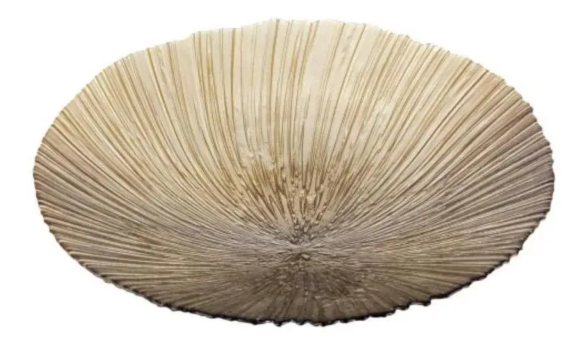 Centro De Mesa Champanhe Vidro Concha 7x39cm Decoração Vaso