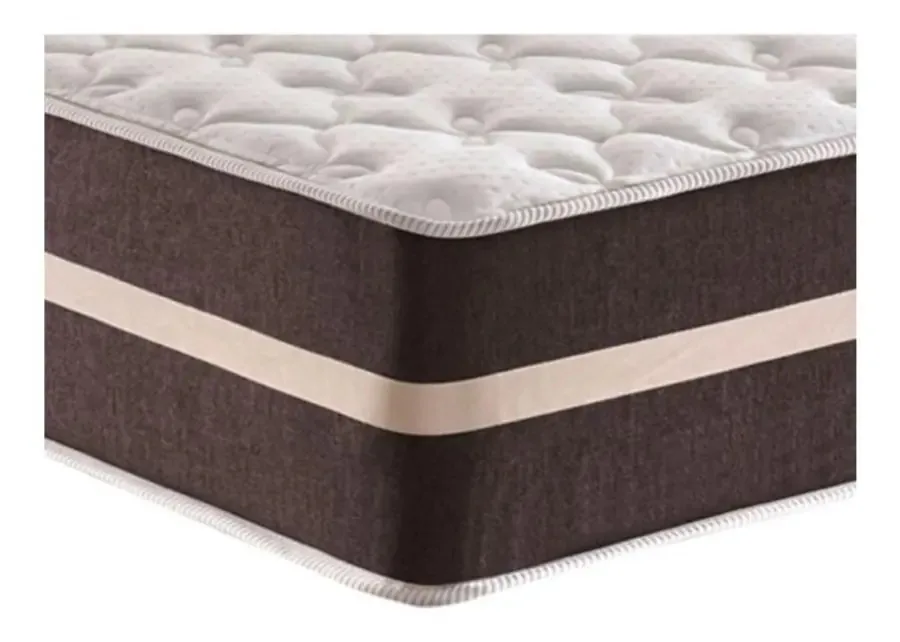 Conjunto Box Nobel