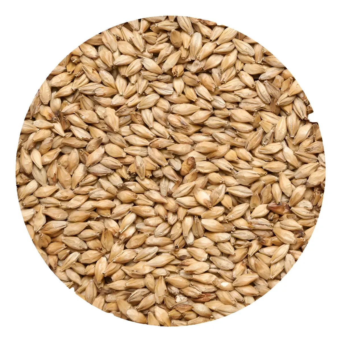 Malte Carared - Weyermann - 1kg