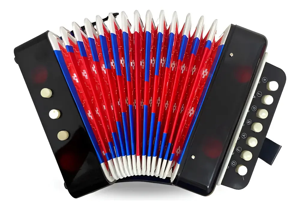 Acordeon Sanfona Gaita Acordeão Infantil - Preto