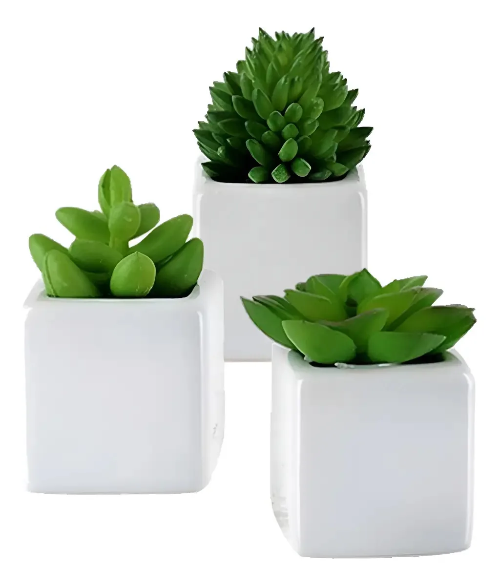 Suculenta Sort C Vaso 8cm Verde 29165001 Flor Arte