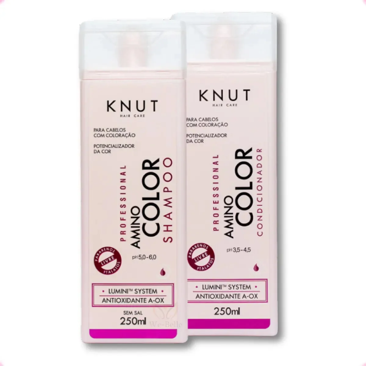 Kit Diário Aminocolor Shampoo Condicionador Coloração Brilho