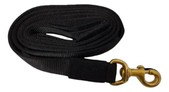 Guia De Adestramento Em Nylon P/ Cachorros/cães - 150cm Preto