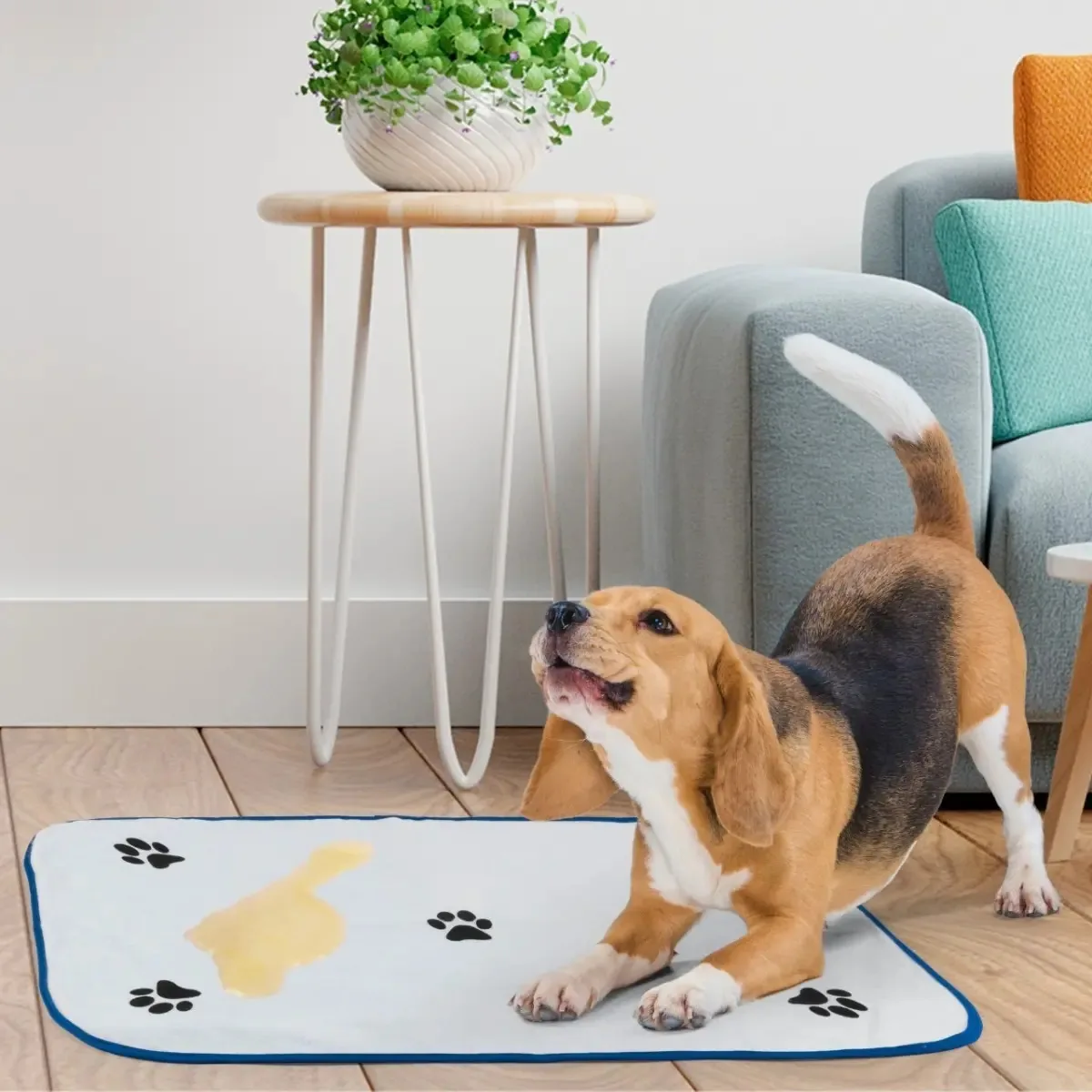 Tapete Higienico Lavavel Adestramento Cao Cachorro Pet Bicho