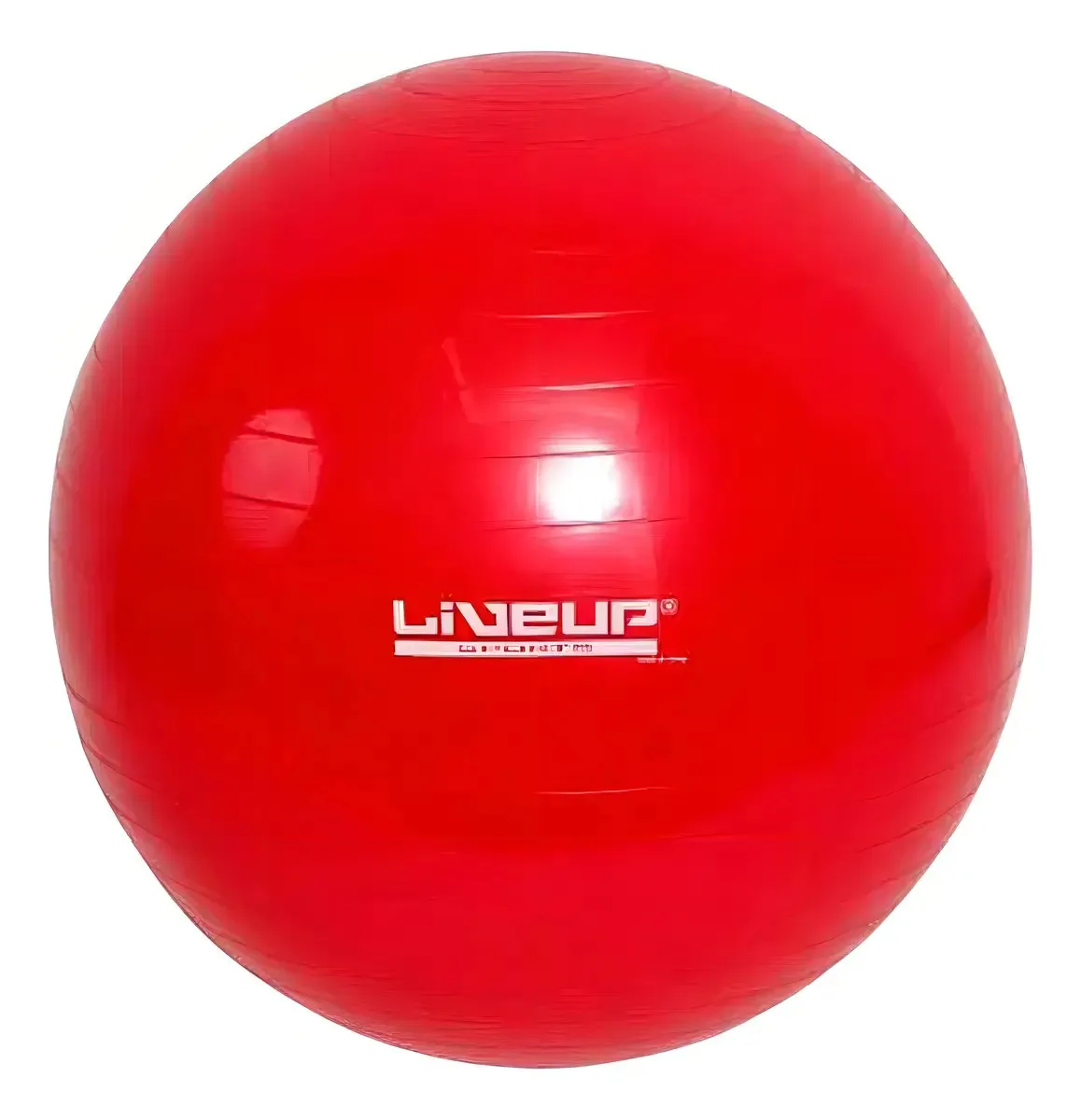 Bola Suíça Pilates Yoga Ginastica 45 Cm + Dvd