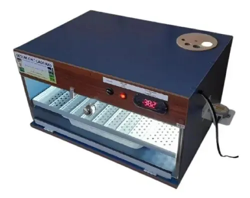 Chocadeira Automática 70 Ovos Mdf Azul Com Ovoscópio