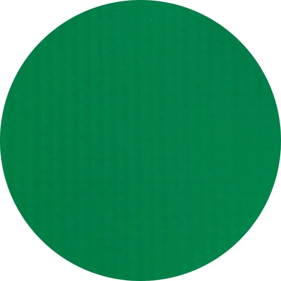 Lona Vinilica Multiuso Para Toldos E Tendas Rolo 3m X 1,40m Cor Verde Bandeira
