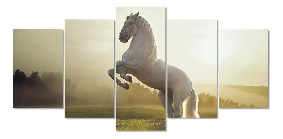 Quadro Decorativo Belo Cavalo Branco Fazenda Sala Hall Agro