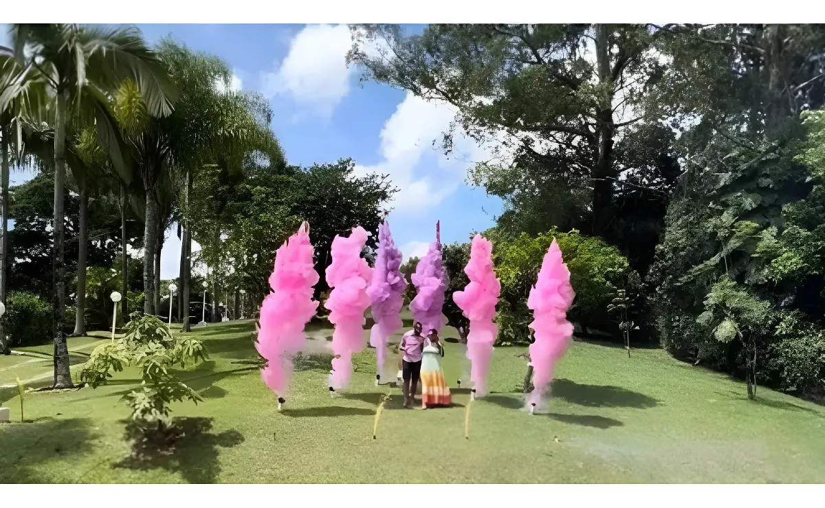 Chá Revelação Canhão Pó Colorido 6 Tubos + Acionador Sem Fio Cor Violeta