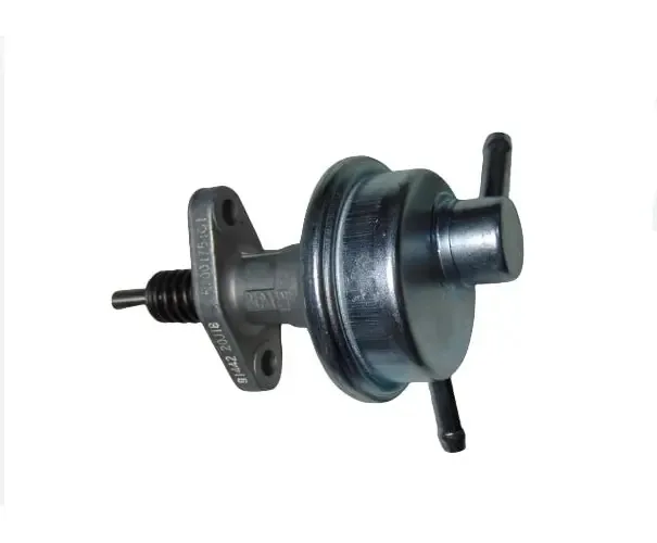 Bomba Combustível Mwm Sprint 6.07t R7001751c1