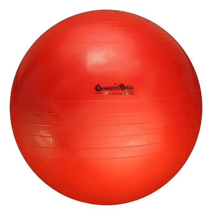 Bola Suíça 55cm Carci Para Pilates Fisioterapia Exercícios