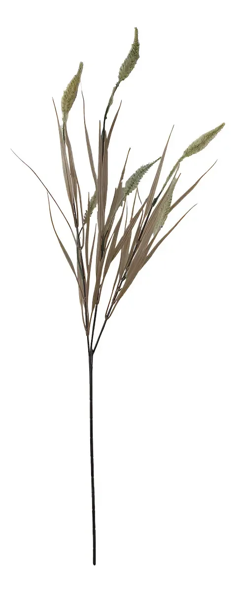 Haste Flor Cattail Creme 65cm