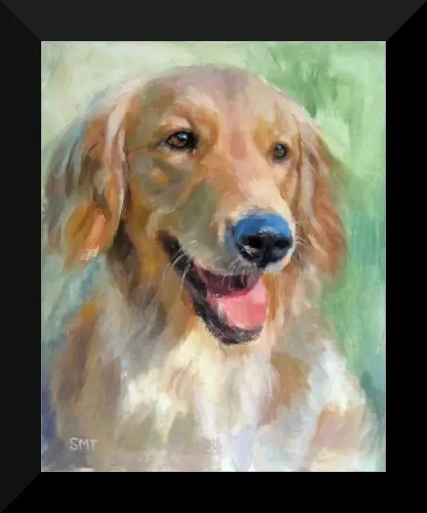 Quadro Pet Shop Cachorro Dog 25x30cm Com Vidro Sa34