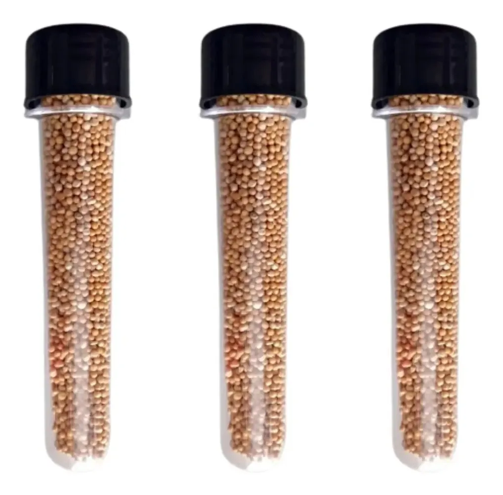 Kit 3 Tubos Semente Acupuntura Complementar 2cm x 9cm Auriculoterapia