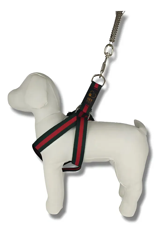 Coleira Peitoral Cão Médio DeD Cases Verde Nylon
