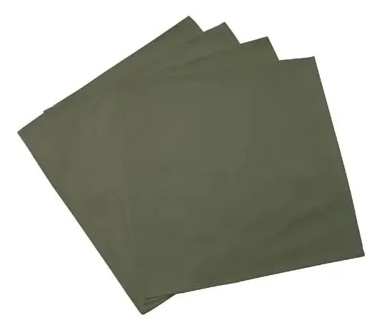 Jogo De Guardanapos Haus Mediterrâneo 45x45cm Verde