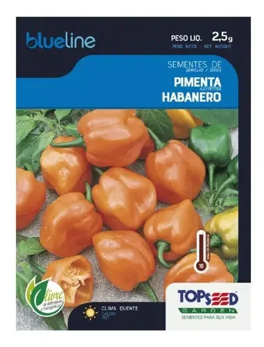 Sementes De Pimenta Habanero Agristar Topseed 1.000 Sementes