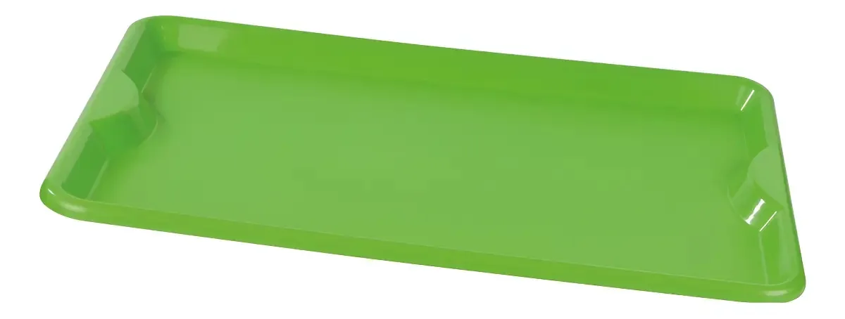 Bandeja Alves, 48x33 Para Refeitório Ou Para Casa - Multiuso Cor Verde