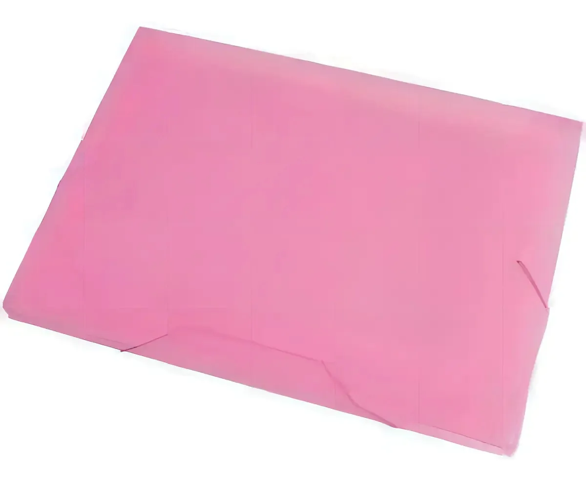 Pasta Oficio Acp C/ Elastico Rosa 1022