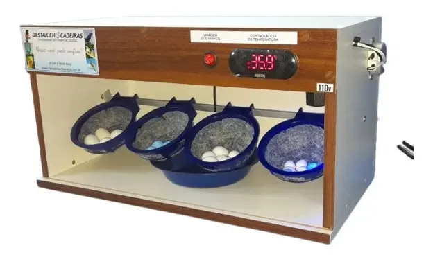 Chocadeira E Estufa Para Pássaros Com 4 Ninhos