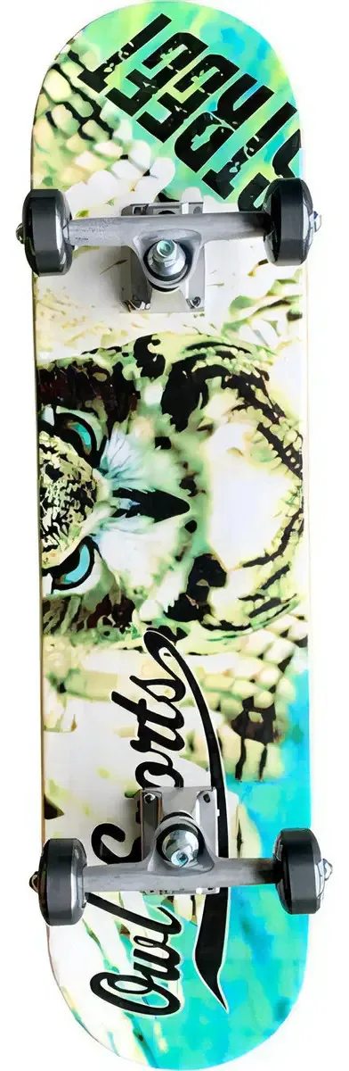 Skate Completo Owl Sports Wings Semi Profissional
